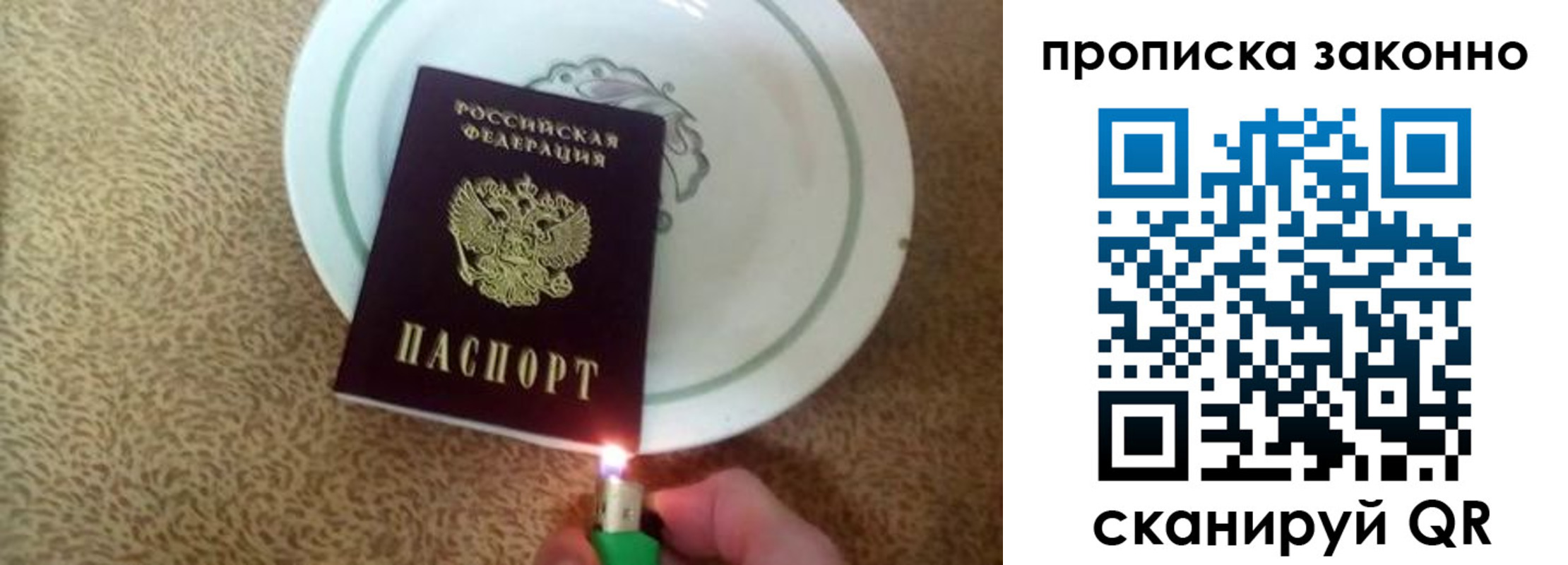 прописка поиск в Вельске